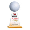 Edenwood Volleyball VividPrint™ Award