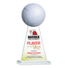 Edenwood Volleyball VividPrint™ Award