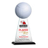 Edenwood Volleyball VividPrint™ Award
