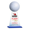 Edenwood Volleyball VividPrint™ Award