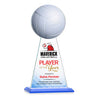 Edenwood Volleyball VividPrint™ Award