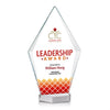 Ellicott VividPrint™ Award