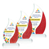 Oakley VividPrint™ Award