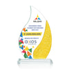 Oakley VividPrint™ Award