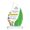 Oakley VividPrint™ Award