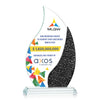 Oakley VividPrint™ Award