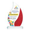 Oakley VividPrint™ Award