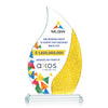 Oakley VividPrint™ Award