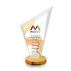 Condor VividPrint™ Award