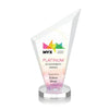 Condor VividPrint™ Award