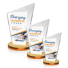Wiltshire VividPrint™ Award