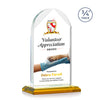 Blake Vividprint™ Award