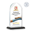 Blake Vividprint™ Award