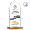 Blake Vividprint™ Award