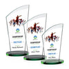 Tomkins VividPrint™ Award