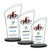 Tomkins VividPrint™ Award