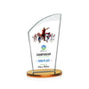 Tomkins VividPrint™ Award