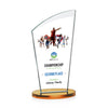 Tomkins VividPrint™ Award