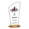 Tomkins VividPrint™ Award