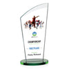 Tomkins VividPrint™ Award