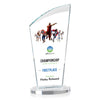 Tomkins VividPrint™ Award