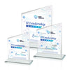 Bellamy VividPrint™ Award