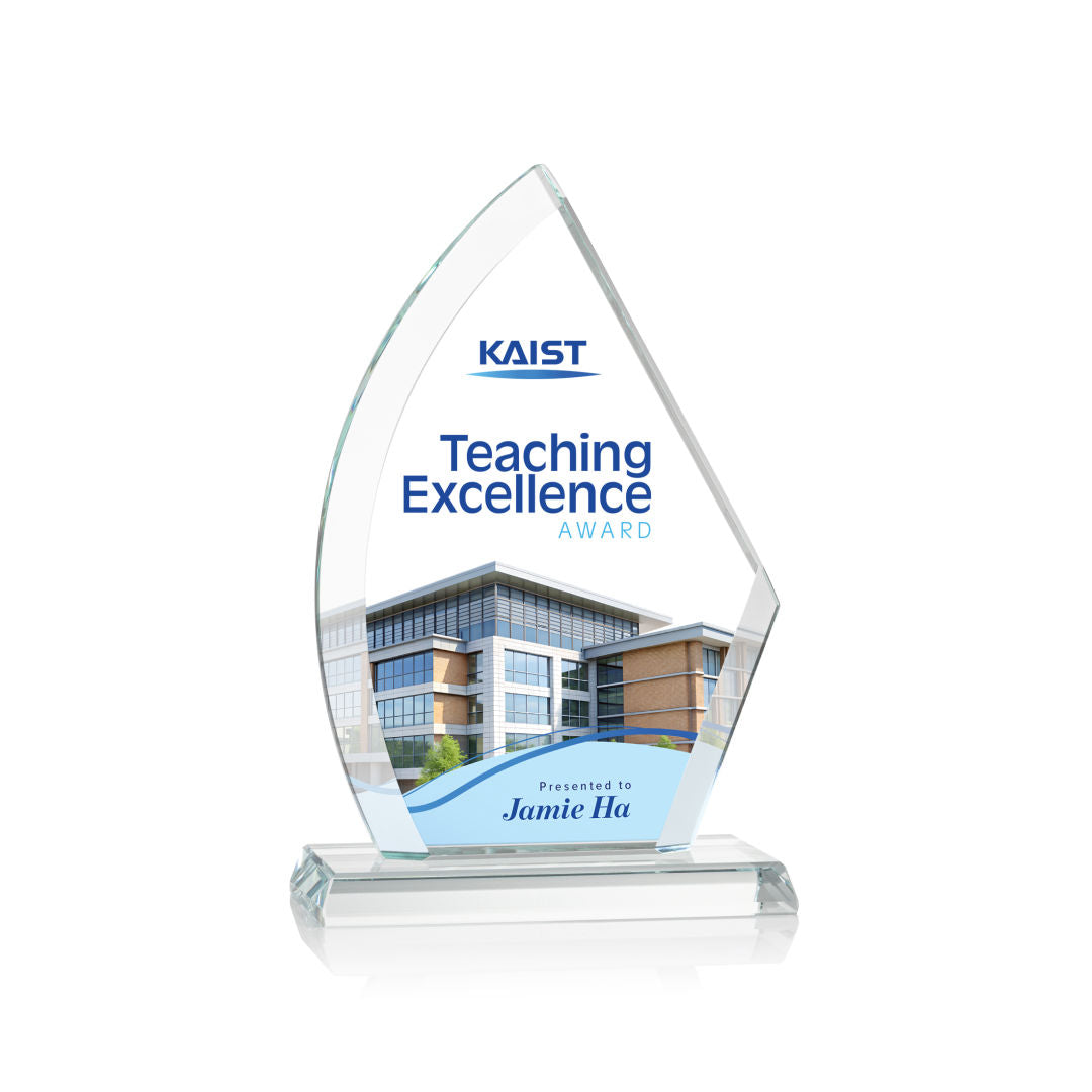 Ayrton VividPrint™ Award