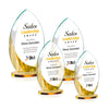 Windermere VividPrint™ Award