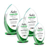 Windermere VividPrint™ Award