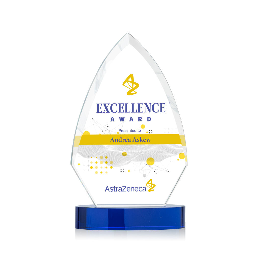 Idaho VividPrint™ Award