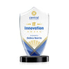 Skylark Shield VividPrint™ Award