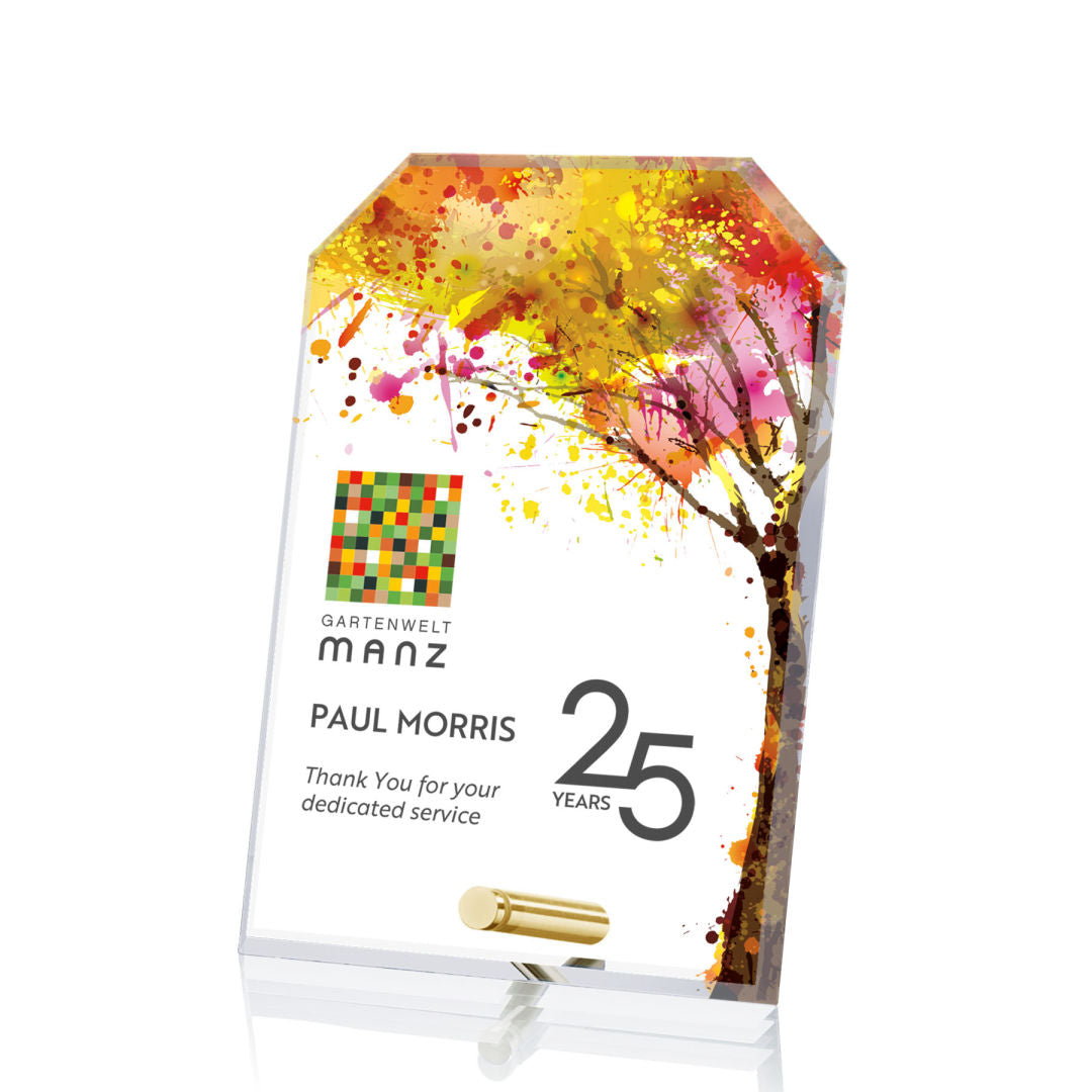 Cantebury Clipped Rectangle VividPrint™Award