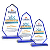 Pearson VividPrint™ Award