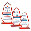 Pearson VividPrint™ Award