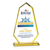Pearson VividPrint™ Award