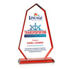 Pearson VividPrint™ Award