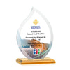 Nestor Flame VividPrint™ Award
