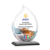 Nestor Flame VividPrint™ Award
