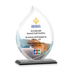 Nestor Flame VividPrint™ Award