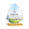 Picton VividPrint™ Award