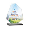 Picton VividPrint™ Award