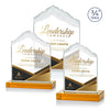 Everest VividPrint™ Award