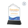 Everest VividPrint™ Award on Newhaven