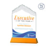 Everest VividPrint™ Award on Newhaven
