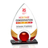 Dangerfield VividPrint™ Award