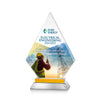 Valhalla VividPrint™ Award