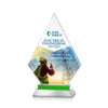 Valhalla VividPrint™ Award