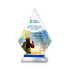 Valhalla VividPrint™ Award