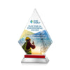 Valhalla VividPrint™ Award