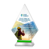 Valhalla VividPrint™ Award